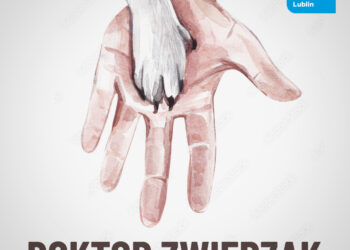 Doktor Zwierzak – o kotach wychodzących