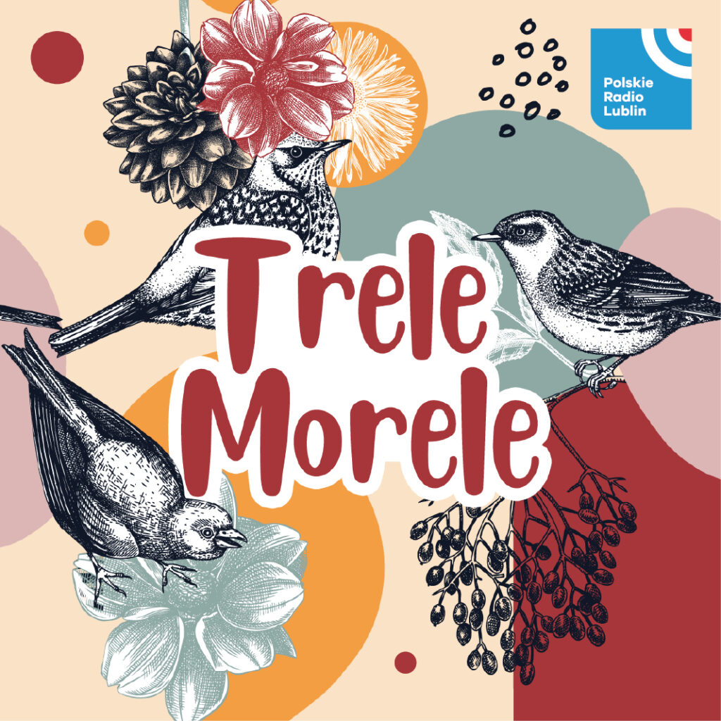 Trele morele - o słowiku szarym i rdzawym